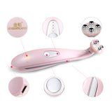 Household Beauty Apparatus